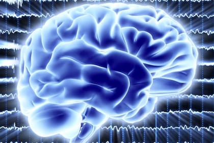 "Queríamos probar que el cerebro se puede comportar de una manera cuántica", señaló el científico español David López Pérez