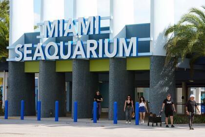 Querido y criticado Miami Seaquarium cierra sus puertas