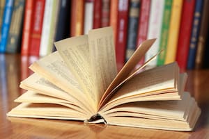 Queridos libros