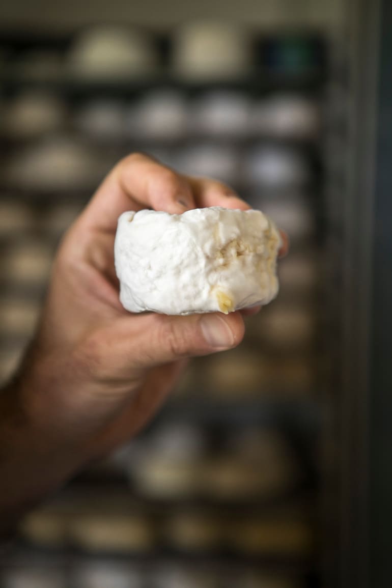 Los buenos chefs emergentes suelen elegir muy bien a sus provedoores de queso de cabra.