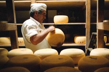 Quesos, otro producto con potencial para exportar a China