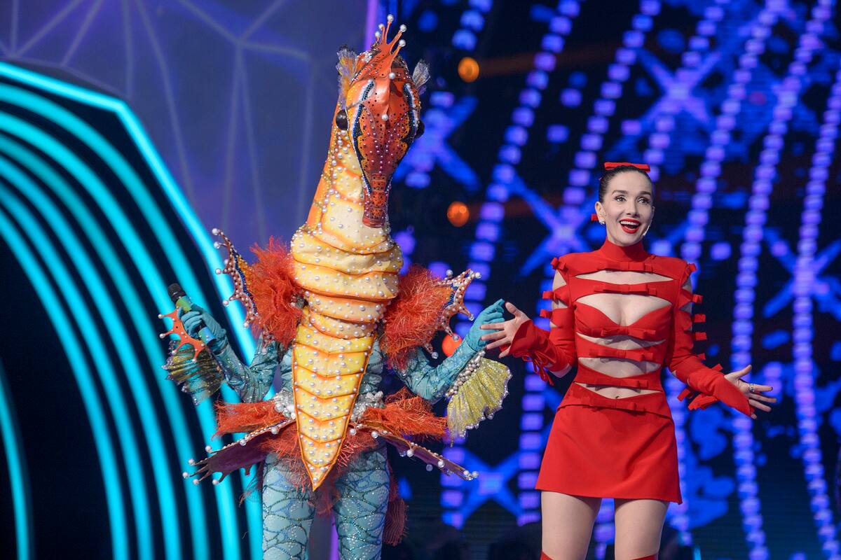 ¿Quién es la máscara?: la personalidad que se quitó la máscara en el segundo programa dejó a todos sin palabras