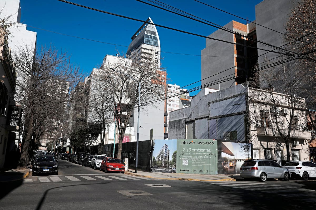 Quienes compraron tierra en el período 2023-2024 hicieron un buen negocio