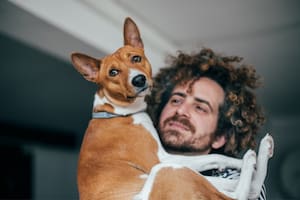 Un estudio explica cómo interpretar la conducta de un perro o un gato cambia nuestra forma de reaccionar