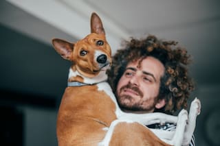 Un estudio explica cómo interpretar la conducta de un perro o un gato cambia nuestra forma de reaccionar