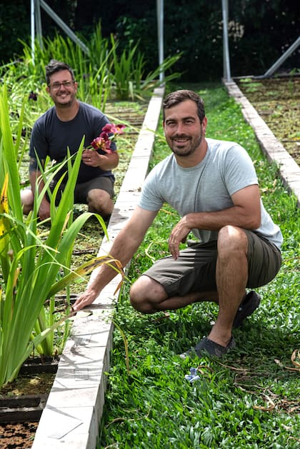 Quienes están al frente del Vivero Naturalia darán un taller de plantas acuáticas para principiantes.