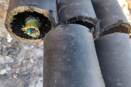 "Quienes producen esos ataques pueden tener conocimientos técnicos del tema”, dijo Raúl Bertoia, director de Seguridad y Prevención de Movistar