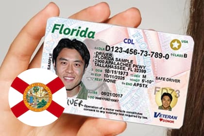 Quienes se muden a Florida y tengan intenciones de vivir más de seis meses consecutivos en la entidad necesitarán de una licencia de conducir emitida por el estado (Archivo)