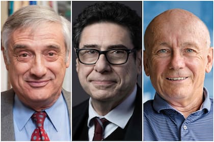 Quiénes son los investigadores que ganaron el Premio Nobel 2025