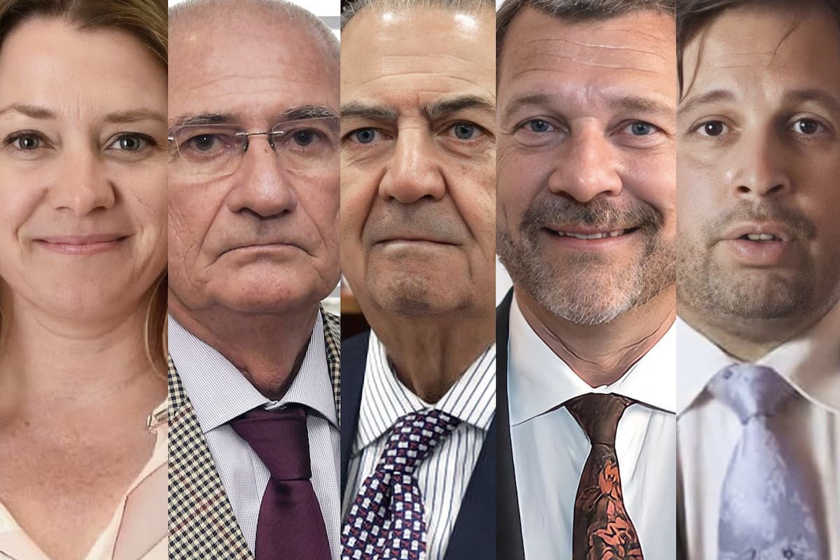 Quiénes son y cómo votaron los jurados del jury contra la fiscal Cecilia Goyeneche. Gisela Nerea Schumacher, Juan Ramón Smaldone, Daniel Omar Carubia, Armando Gay, Gonzalo García Garro