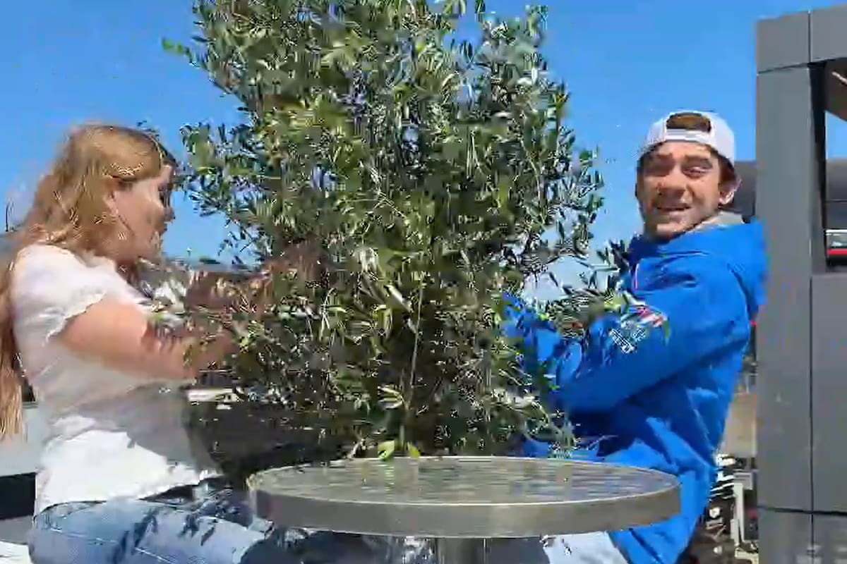 "Quieren lesionar al piloto", bromeó Colapinto