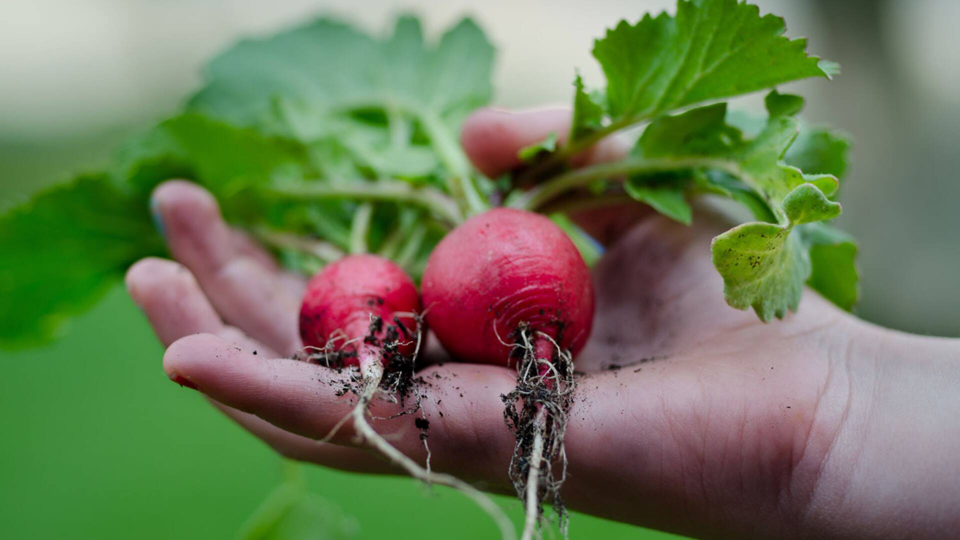 Okroshka, un plato tradicional del verano ruso.