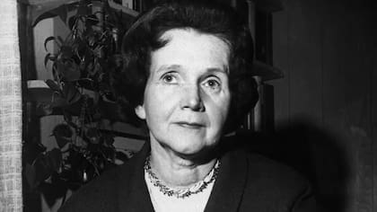 Rachel Carson publicó "Primavera Silenciosa" en 1962. Escribió su obra y la defendió de los ataques de la industria de los pesticidas mientras batallaba un cáncer que le costó la vida en 1964 a los 56 años