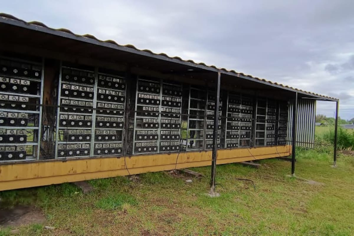 Racks metálicos con decenas de equipos de minería alineados bajo un techo de chapa