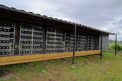 Racks metálicos con decenas de equipos de minería alineados bajo un techo de chapa