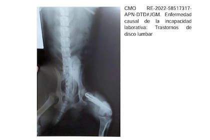 Radiografía de un perro adjuntada a un expediente de pensión por invalidez