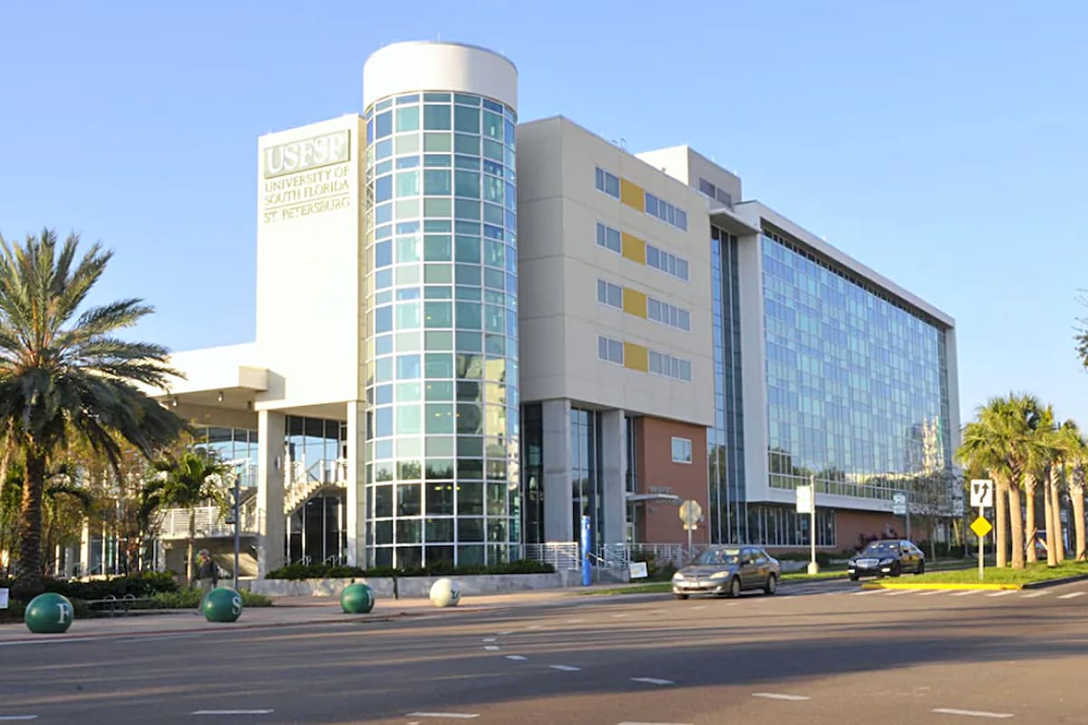 Ralph Puglisi malversó millones de dólares durante años del sistema de salud de una universidad; lavaba dinero a través de un sitio web pornográfico de la prometida de un familiar