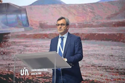 Rappallini, titular de la UIA