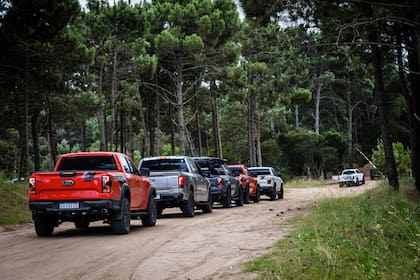 Raptor Day.