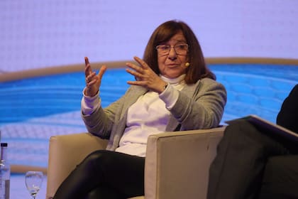Raquel Chan, investigadora del Conicet