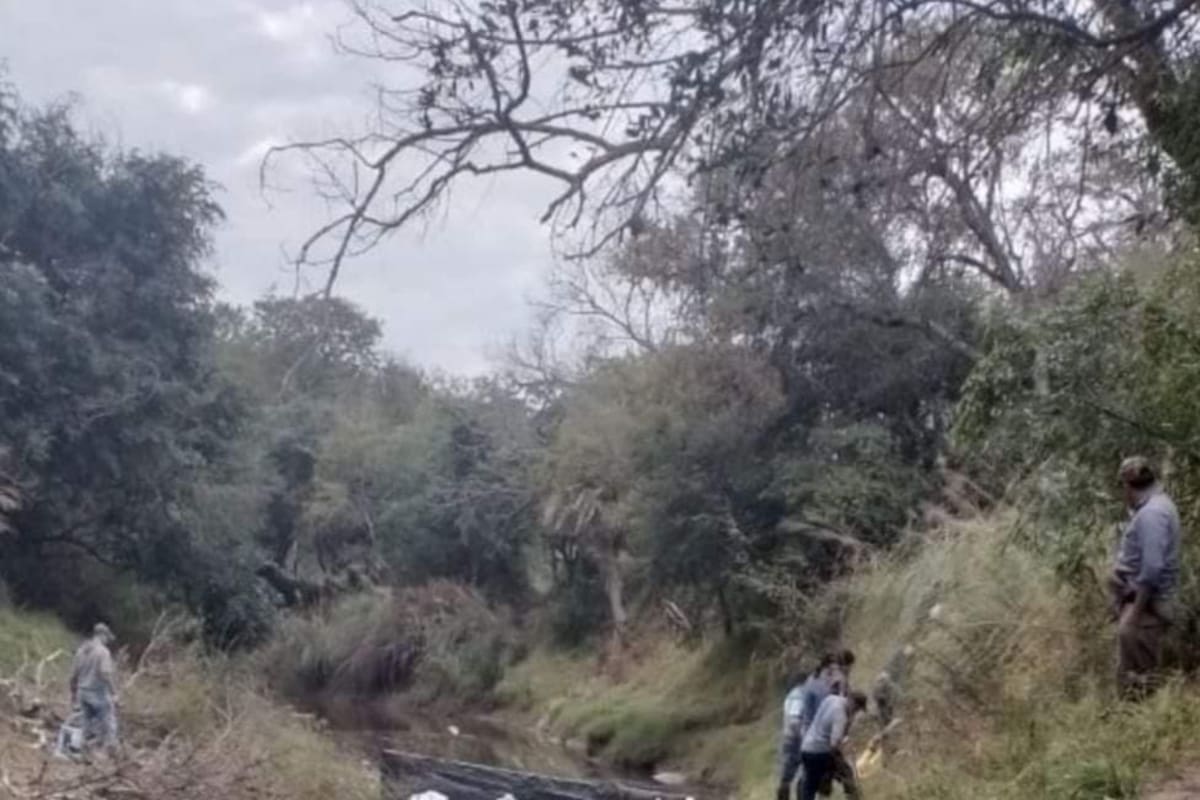 Rastrillajes en la zona del río Tragadero, donde hallaron restos óseos en busca de rastros de Cecilia Strzyzowski