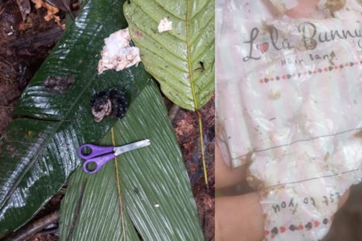 Rastros de los niños desaparecidos en la selva colombiana