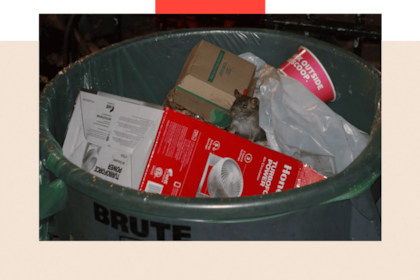 El manejo de la basura en Nueva York facilitó la proliferación de ratas