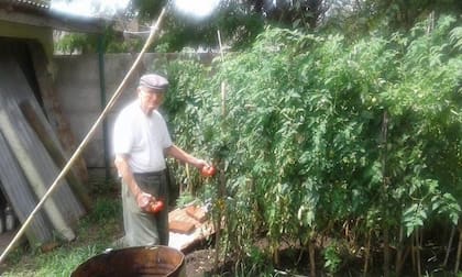 Raúl, a sus 101, es un fanático de la huerta y los frutales