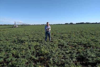 Raúl Arcini: "El ejercicio de medir, analizar, interpretar, compartir y tomar decisiones nivela a todo el sector productivo hacia arriba"