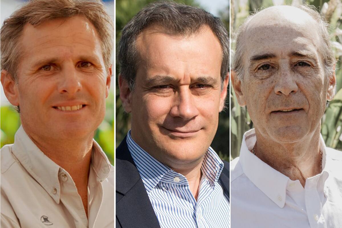Raúl Paillot (NK Semillas), Maximiliano Cueto (Bayer) y Ricardo Pancelli (BASF)