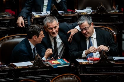 Rauschenberger, Castagneto y Martínez, de UP