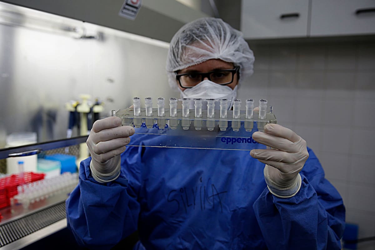 Realizarán estudios con animales para confirmar la eficiencia de la vacuna generada por la institución norteamericana (Imagen ilustrativa)