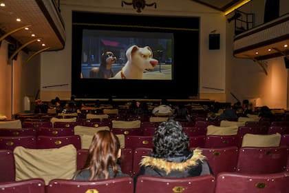 Realizaron en Escobar la primera función de cine para perros de Sudamérica