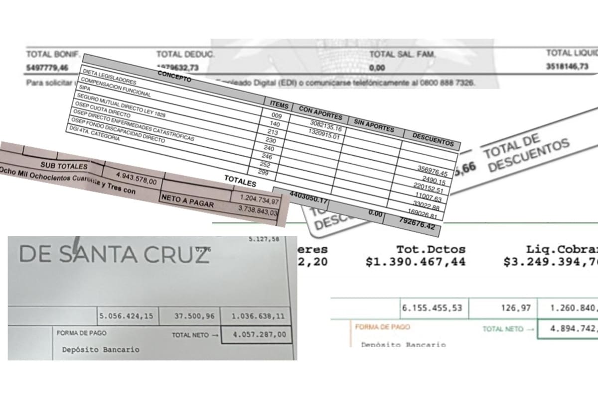 Recibos de sueldo de legisladores provinciales (con reserva de identidades