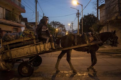 Recicladores informales. En la villa Itatí, de Quilmes, muchos de sus habitantes utilizan caballos o yeguas para recoger residuos reciclables