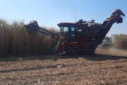 Reclaman que se aseguren cortes obligatorios de bioetanol