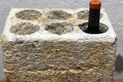 "Recogemos los residuos de la poda; luego se aplica el inóculo del hongo, utilizando como componente el micelio. Una vez obtenida esta combinación se coloca en moldes, como parte del proceso de cultivación de las cajas", contó Laciar