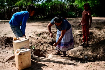 Recolección de agua en la comunidad de Misión Chaqueña, en Salta