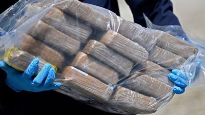 recolectores de cocaína de Rotterdam