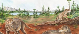 ¿Cambia la historia de los mamíferos? El fósil argentino que adelanta el origen de las crías vivas