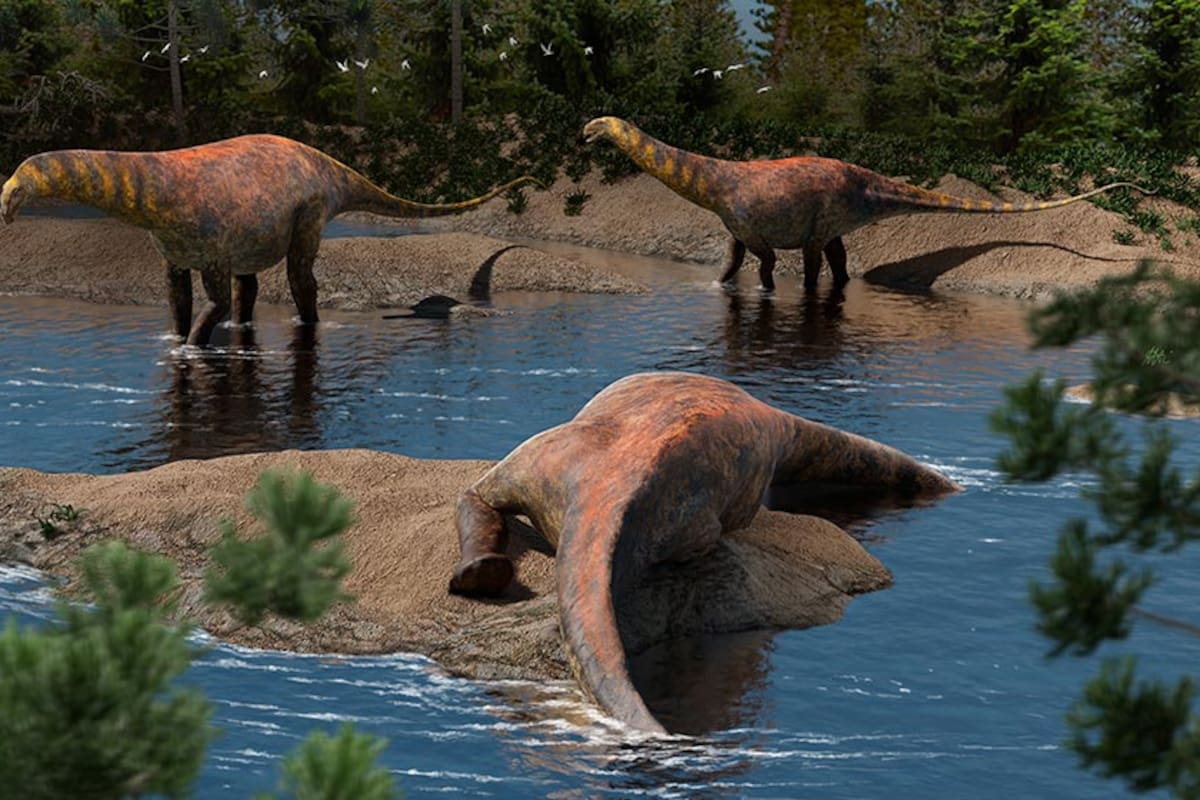 Reconstrucción de Astigmasaura genuflexa. Créditos: Mattia Yuri Messina