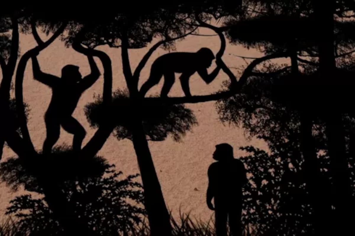 Reconstrucción de diferentes modos de locomoción en el desierto de Djourab (Chad)