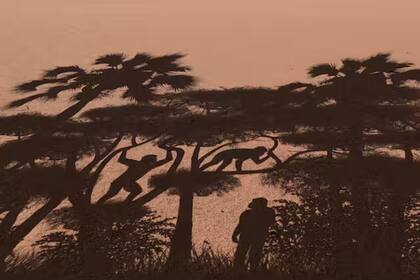 Reconstrucción de diferentes modos de locomoción en el desierto de Djourab (Chad)