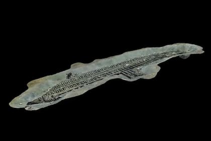 Reconstrucción de la barcaza egipcia con tecnología 3D