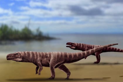 Reconstrucción de los antiguos cocodrilos que dejaron sus huellas en el sitio paleontológico de Corea del Sur