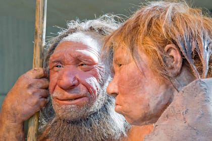 Reconstrucción de una pareja prehistórica, ambos neandertales