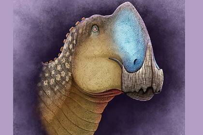 Reconstrucción del Coahuilasaurus lipani.