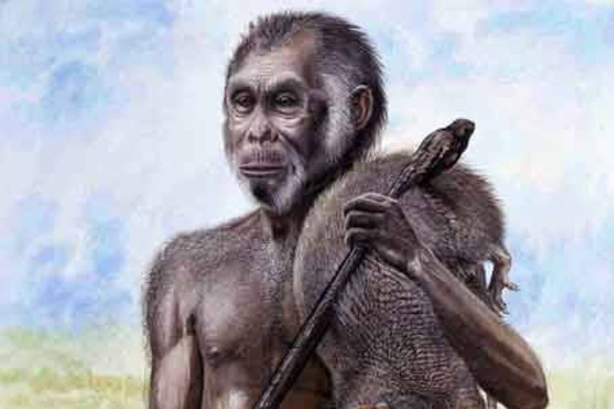 Reconstrucción del Homo floresiensis