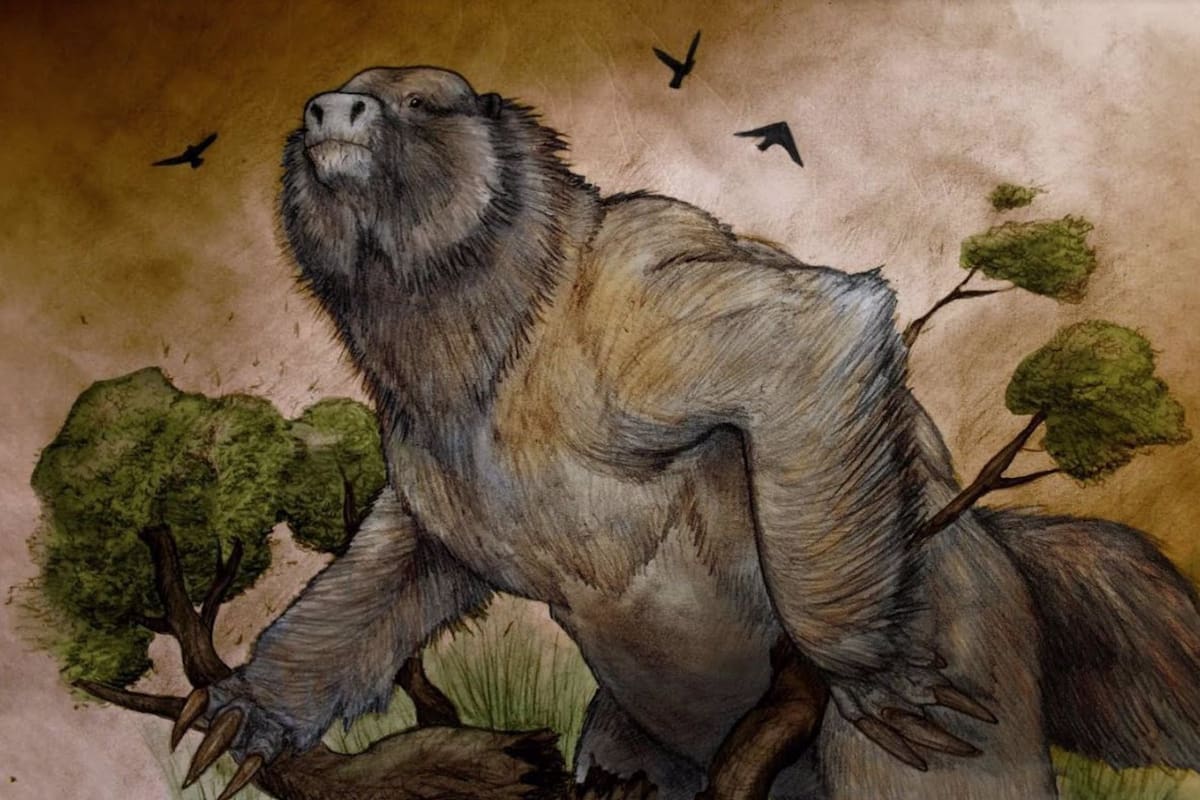 Reconstrucción del megaterio cuyo cráneo fue descubierto en Argentina