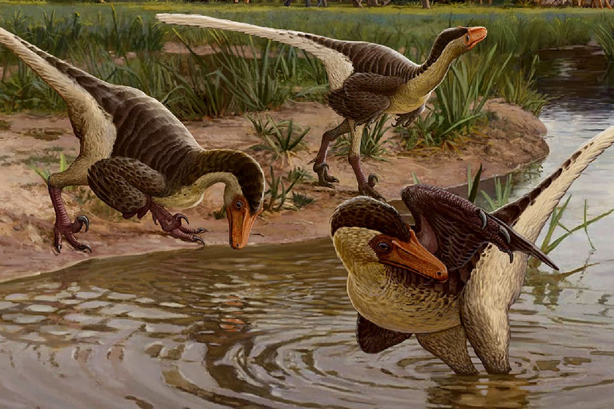 Reconstrucción digital de Dineobellator notohesperus hallado en Ojo Alamo, en Nuevo México